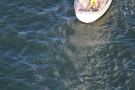 Missing Picture